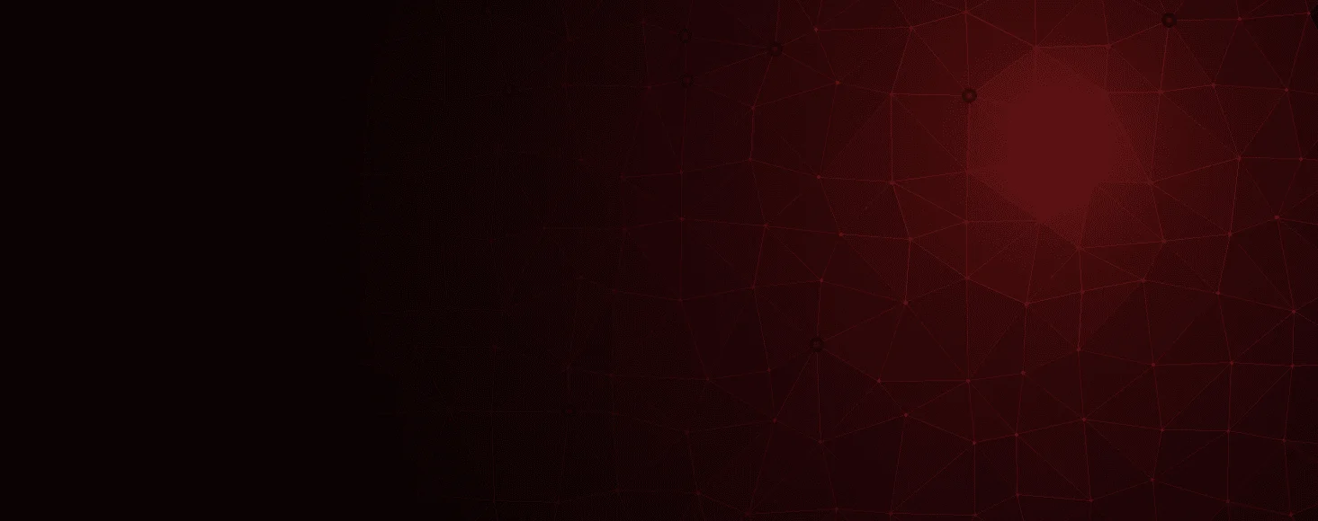 Fondo decorativo de la sección de la web de DataRoad